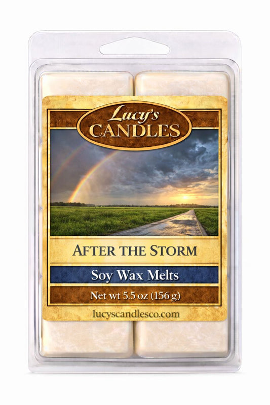 After the Storm